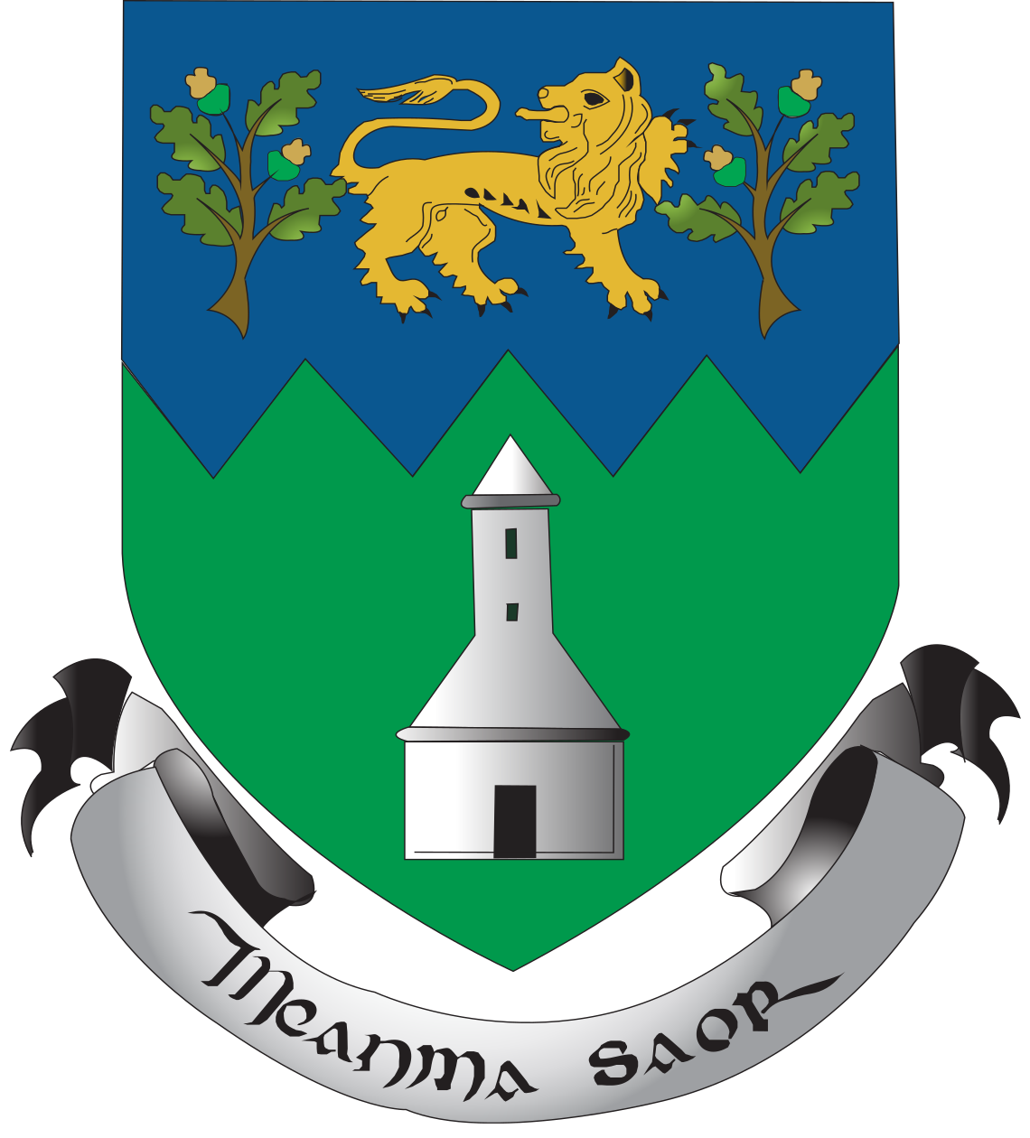 wicklow_coat_of_arms.png