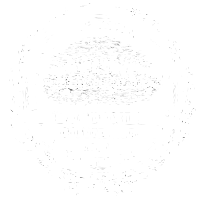 390px-seal_of_boston_massachusetts_white.png