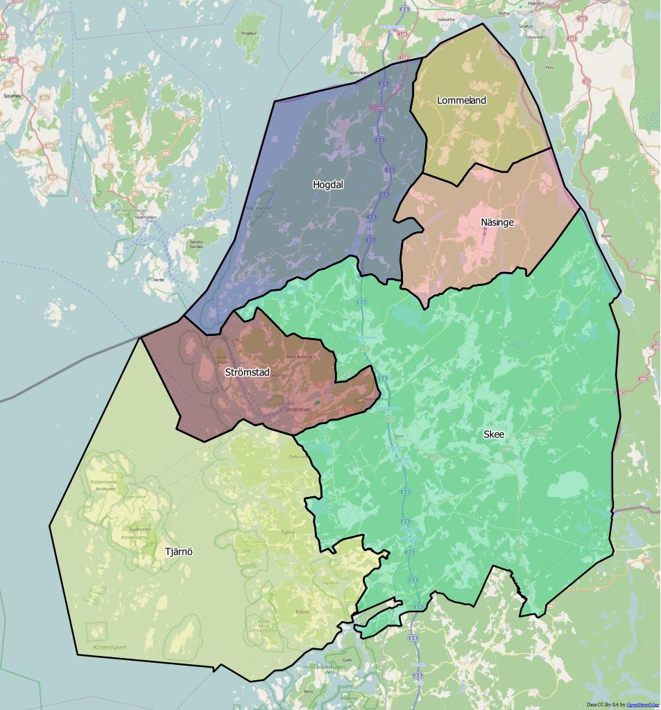 Distrikt i Strömstads kommun